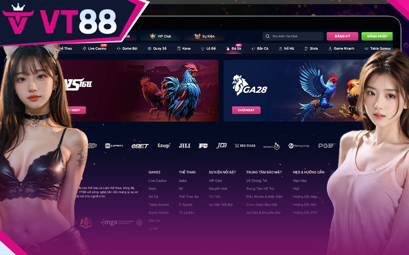 Tham gia đá gà trực tiếp tại VT88 cùng các chiến kê, trường gà hấp dẫn nhất